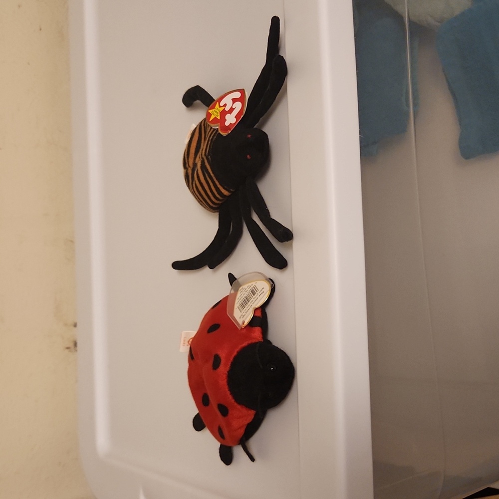 Insect beanie bundle